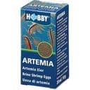 Hobby Artemia Eggs, 20 ml