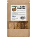 ARKA Catappa Leaves, S