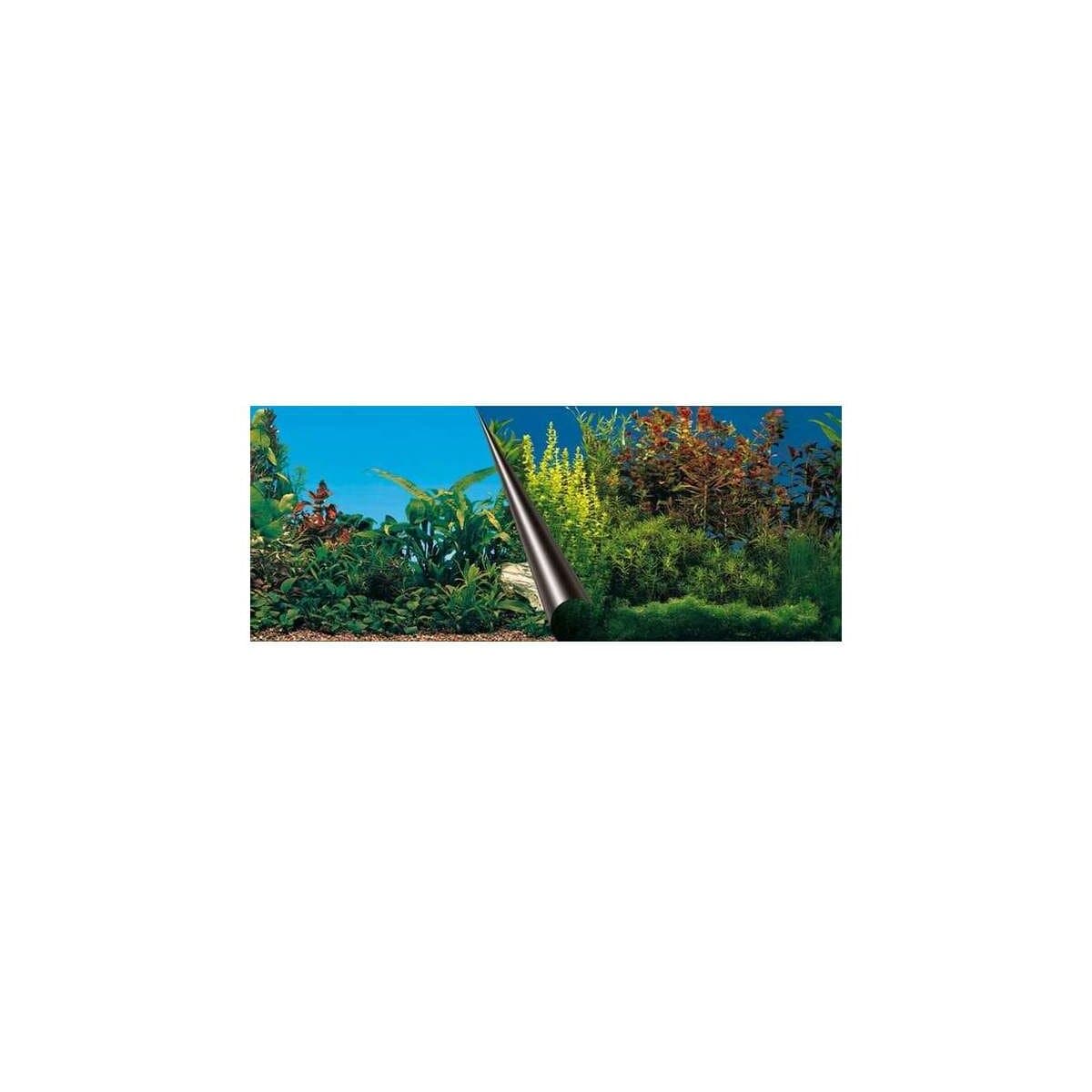 Photo-Rückwand Beauty+Sea 120x50cm