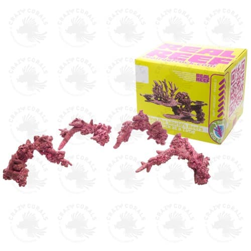 Real Reef Fancy Arches - 4stk.