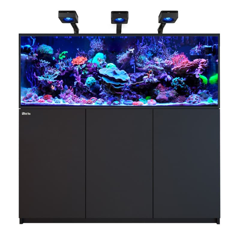 RED SEA REEFER Deluxe XXL 625 G3- Noir