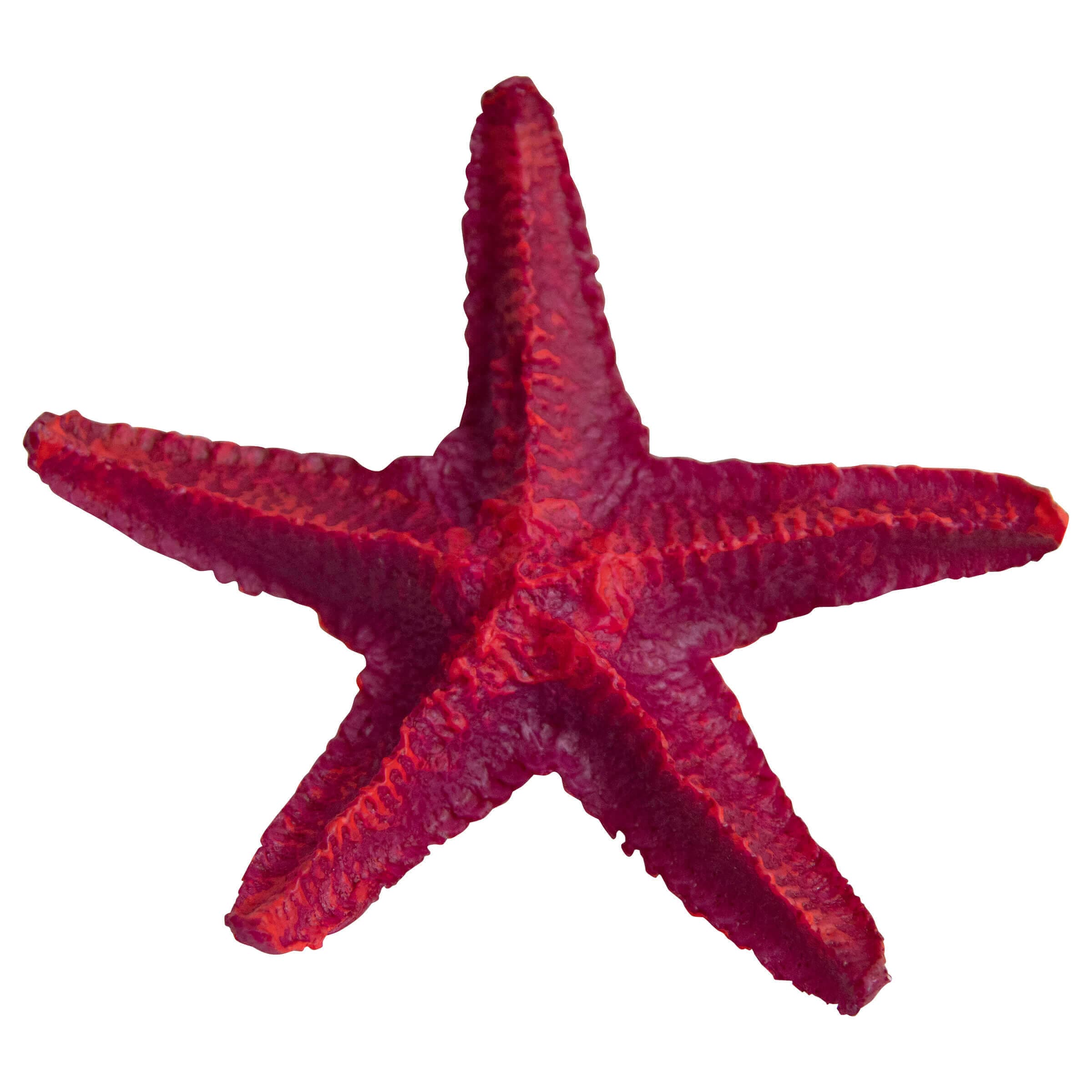 Deep Sea Aquariumdekoration Star Fish 0.053 kg