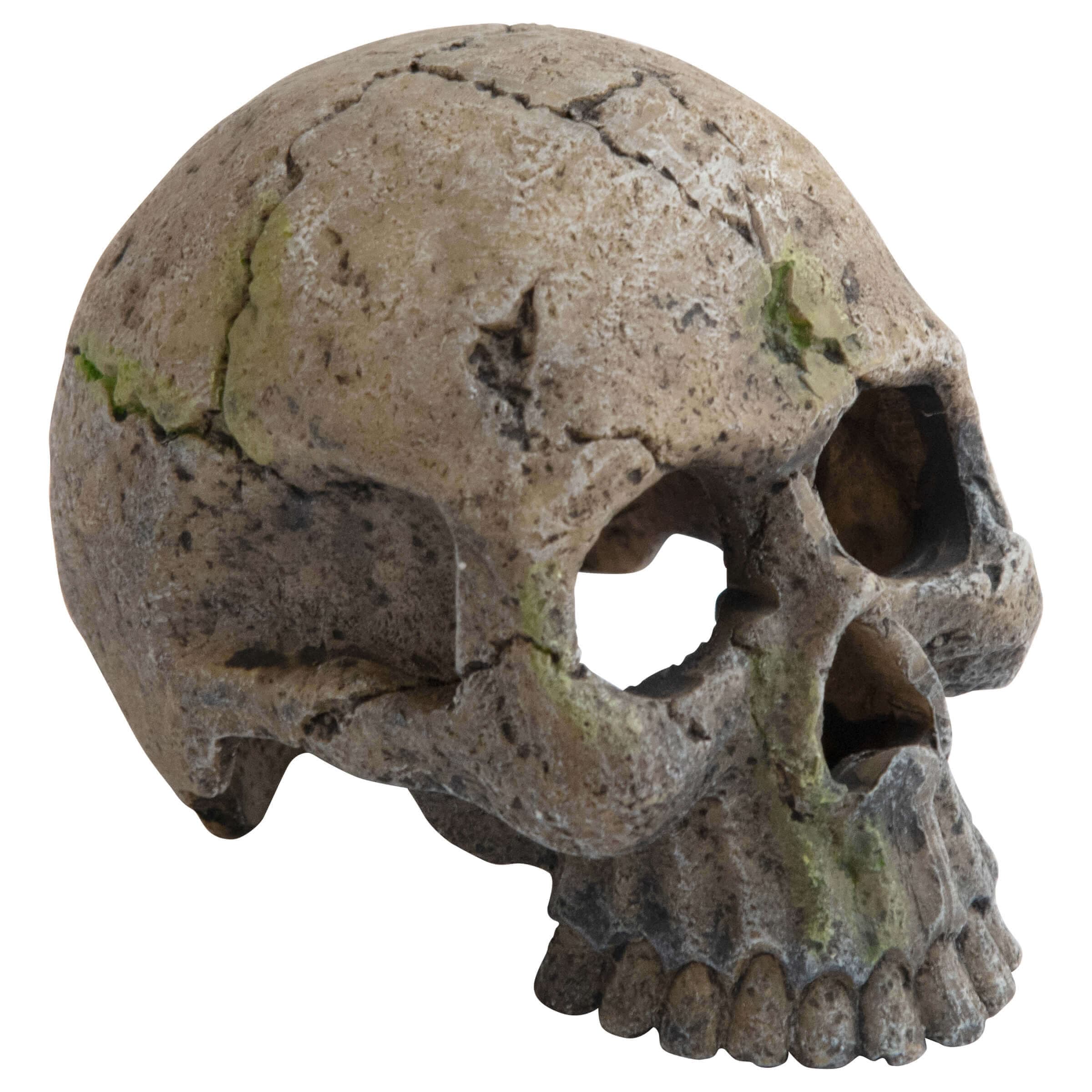 Deep Sea Aquariumdekoration Skeleton 9 cm