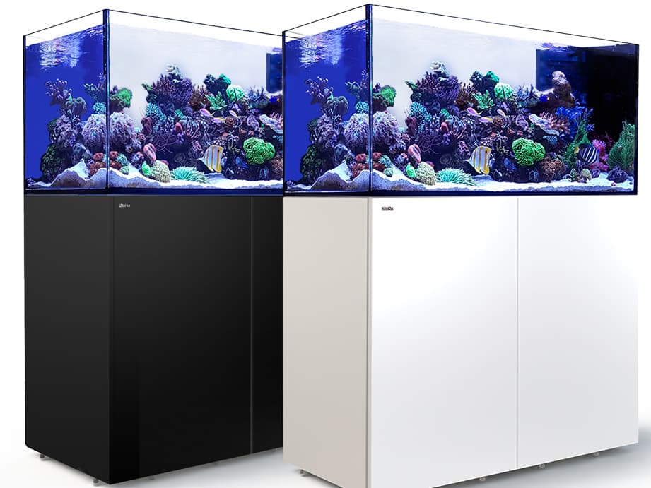 Red Sea Reefer Peninsula 500 weiss