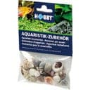Hobby Sea Shells Set, Small