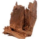 Olibetta Mangrove, 1 Pc