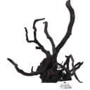 Olibetta Black Bog Root, M