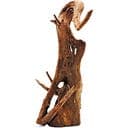 Amtra Thai Orchid Wood, M