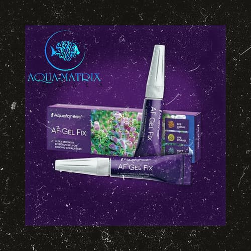 AF Gel Fix