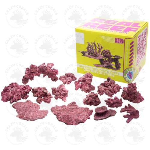 Real Reef Ready - Mix Small box