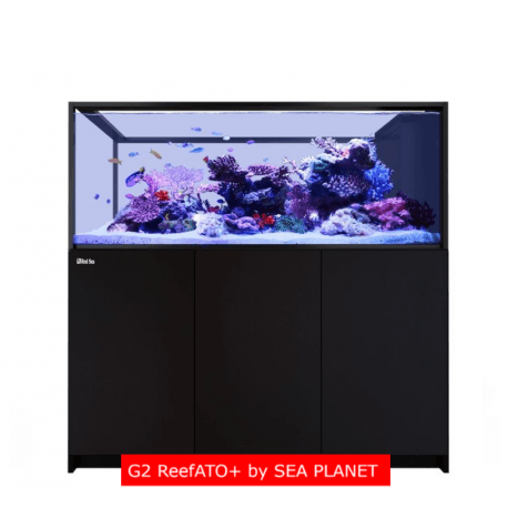 Red Sea Reefer-S Peninsula G2+ 700 IN SCHWARZ