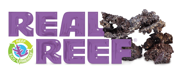 Real Reef Rock Small/Medium Box