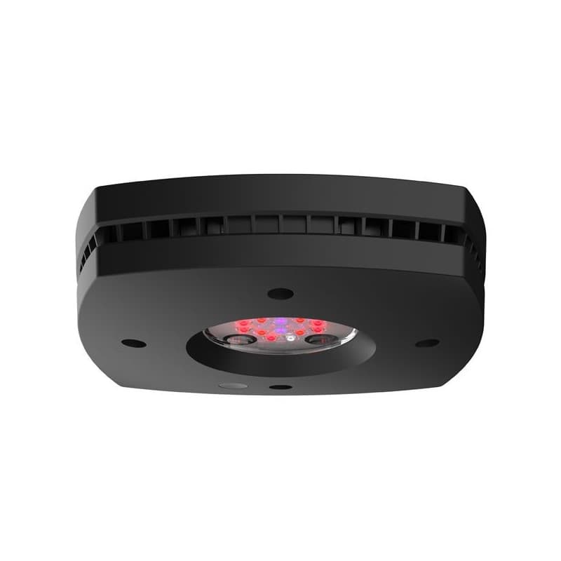 AQUA ILLUMINATION Prime Fuge 46 W- Noire- Led pour refugium